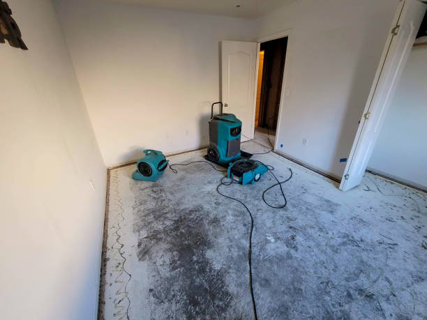 Best Flood restoration services  in Soh Salt Lake, UT