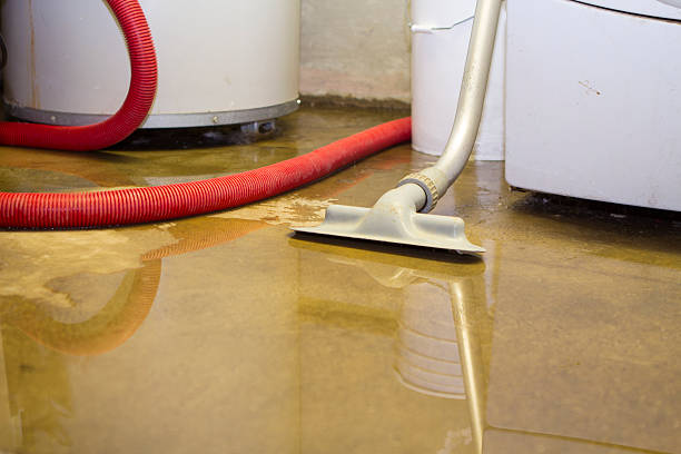Best Basement water damage restoration  in Soh Salt Lake, UT